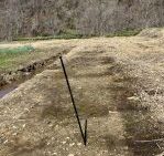 ブルーベリーの植え付け